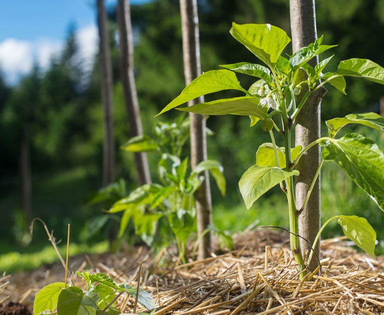 blog_featured_5 blog_featured_5